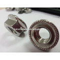 f594G serrated flange head nut , flange nut with serration